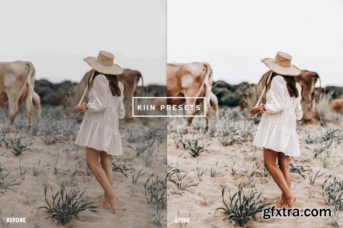 CreativeMarket - 5 WANDERLUST LIGHTROOM PRESETS 6265738