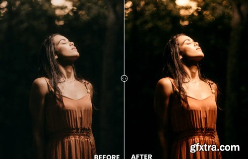 Golden Sunset Action & Lightrom Presets