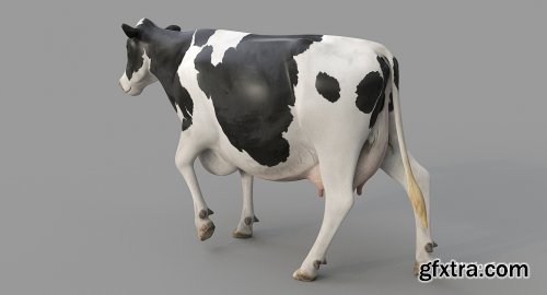 Turbosquid - Cow PRO ( Holstein ) 3D model