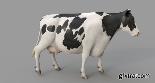 Turbosquid - Cow PRO ( Holstein ) 3D model