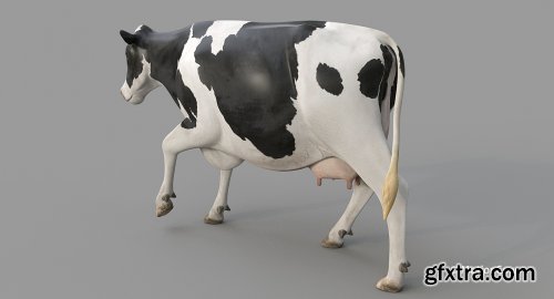 Turbosquid - Cow PRO ( Holstein ) 3D model