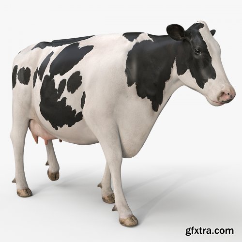 Turbosquid - Cow PRO ( Holstein ) 3D model