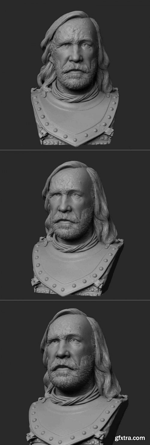 Sandor Clegane (The Hound) Bust