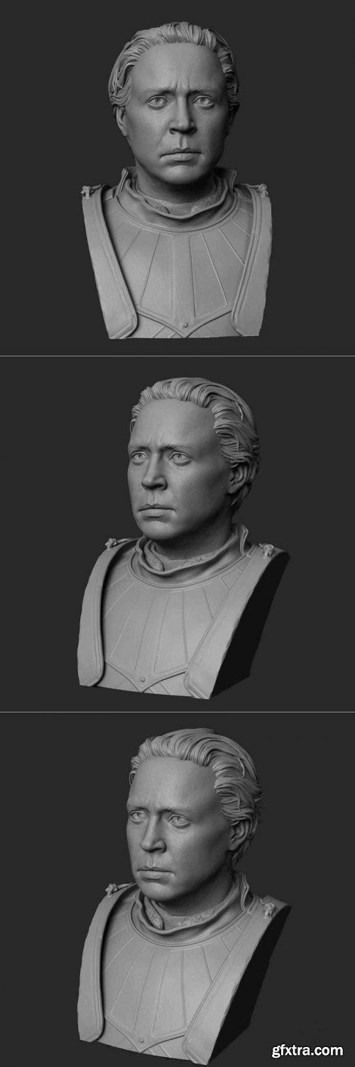 Brienne of Tarth Bust