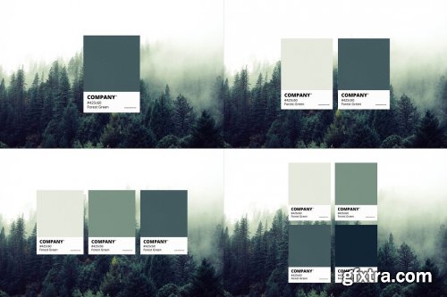 CreativeMarket - Color Match Mockup Set 6343287