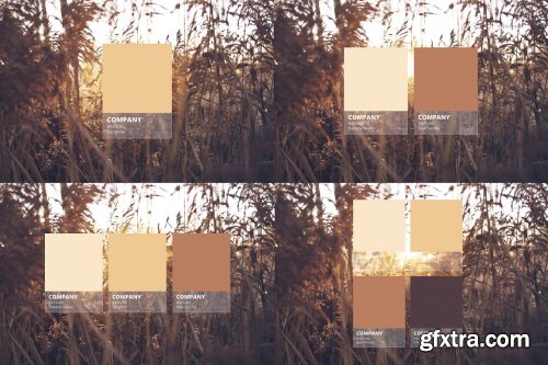 CreativeMarket - Color Match Mockup Set 6343287