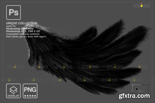 Black Angel Wings Overlay