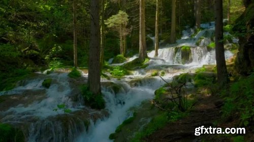 Cascades On The Mountain River 1018998