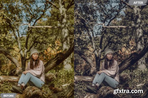 Monochrome Lightroom Presets Dekstop and Mobile