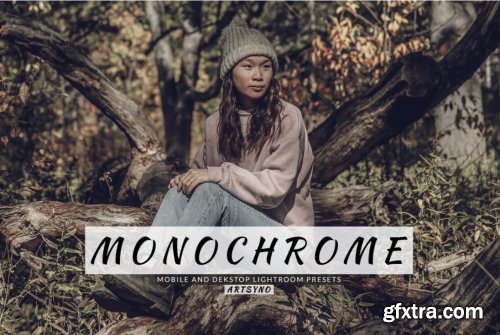 Monochrome Lightroom Presets Dekstop and Mobile