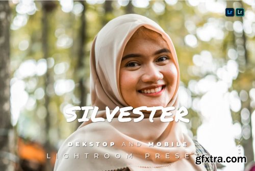 Silvester Desktop and Mobile Lightroom Preset