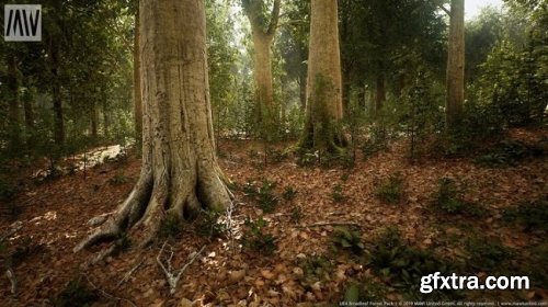 Unreal Engine - MW Broadleaf Trees Forest Biome 