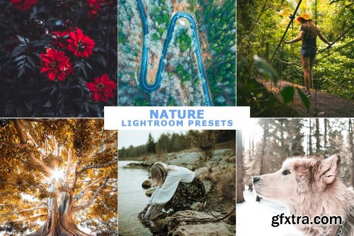 CreativeMarket - Best Lightroom Presets Download 6488223