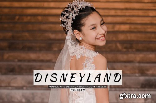 Disneyland Lightroom Presets Dekstop and Mobile