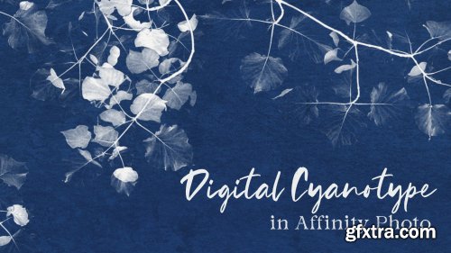  Digital Cyanotypes in Affinity Photo | A Quick Tip Class