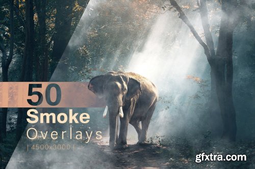 CreativeMarket - 505 Photo Overlays Bundle 2.0 5266469