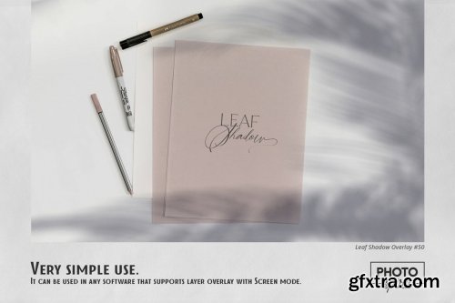 CreativeMarket - Leaf Shadow Overlays 6341914