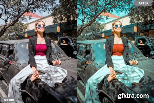 Lareina Lightroom Presets Dekstop and Mobile