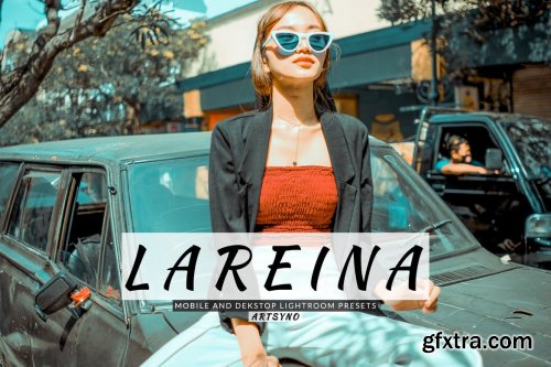 Lareina Lightroom Presets Dekstop and Mobile