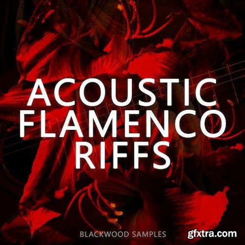 Blackwood Samples Acoustic Flamenco Riffs WAV