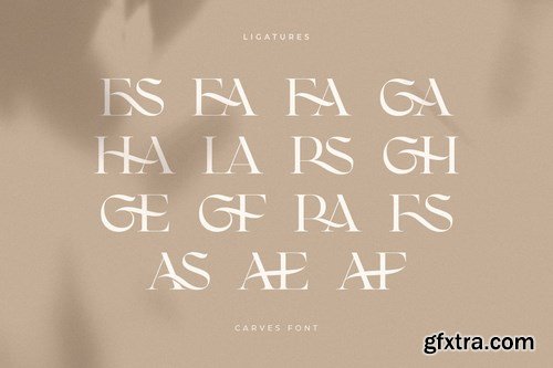 CARVES - Modern Display Font