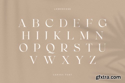 CARVES - Modern Display Font