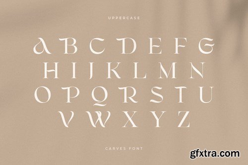 CARVES - Modern Display Font