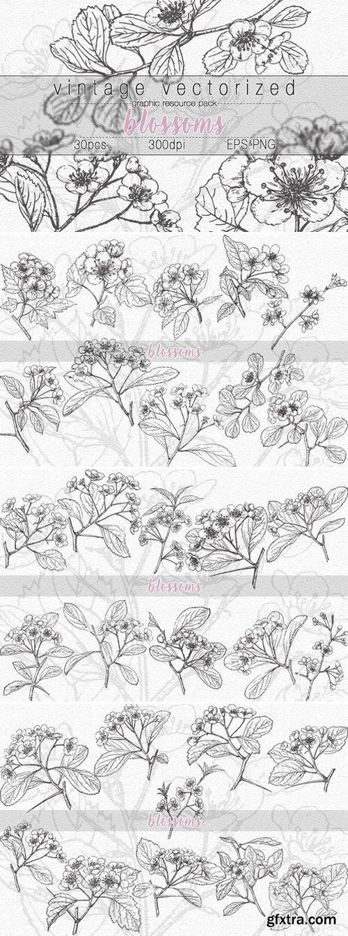 VintageVectorized-Blossoms Clipart