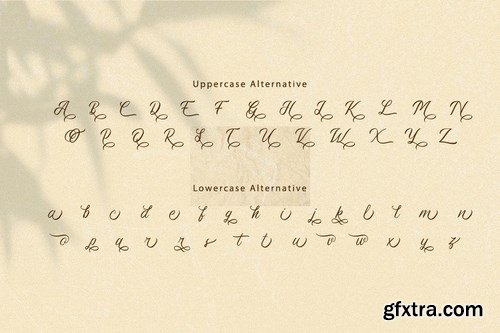 Aromatisse Classic Calligraphy Font