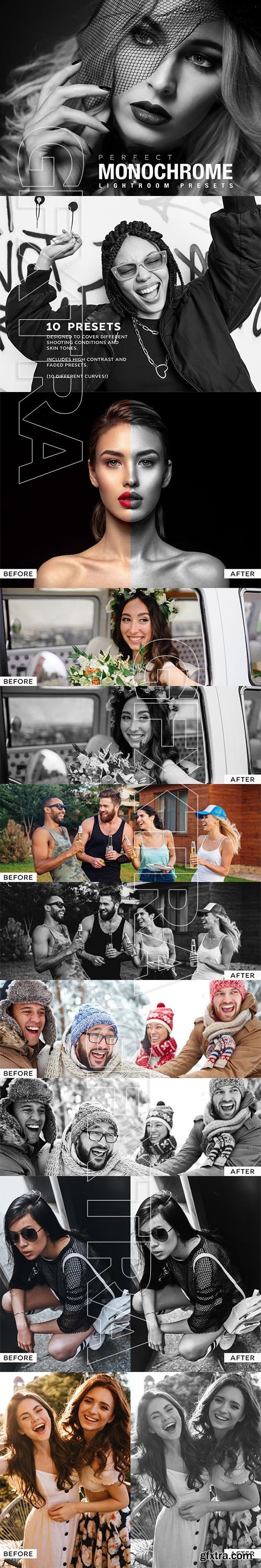 CreativeMarket - 10 Monochrome Lightroom Presets 6523025