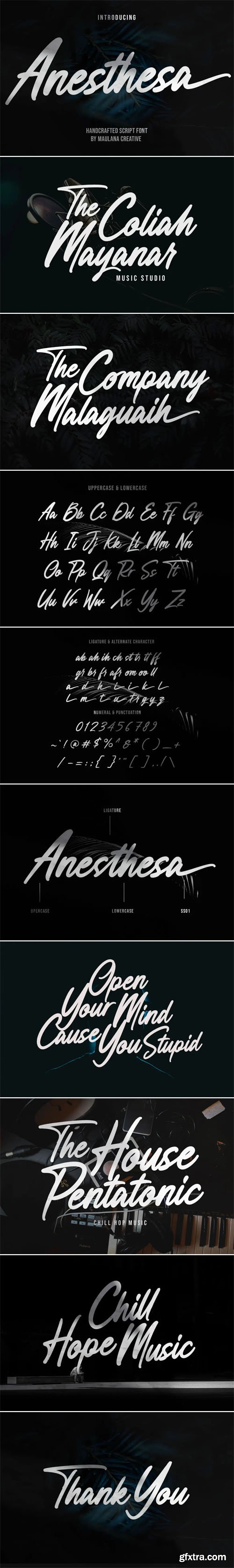 Anesthesa Script - Casual Handcrafted Font