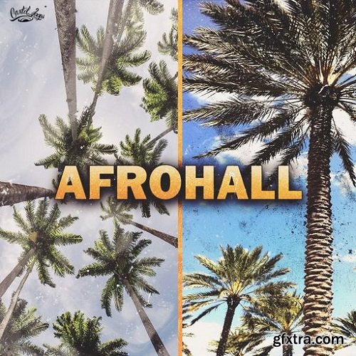 Cartel Loops Afrohall WAV MiDi