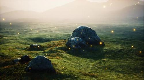 Videohive - Big Stones in Grass Field - 34136603 - 34136603