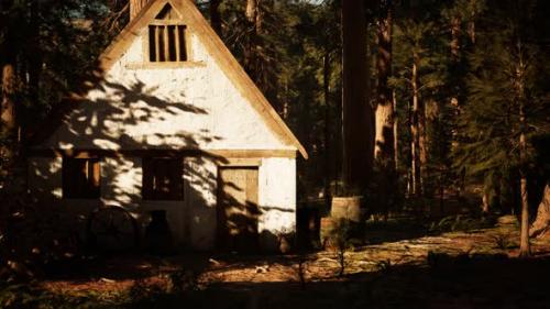 Videohive - Old Wooden House in the Autumn Forest - 34136779 - 34136779