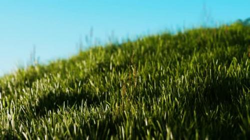 Videohive - Green Fresh Grass As a Nice Background - 34136819 - 34136819