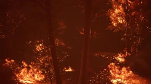 Videohive - Large Flames of Forest Fire at Night - 34136854 - 34136854