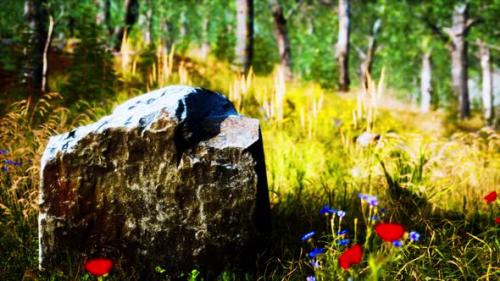 Videohive - Grass Field and Forest Trees - 34136857 - 34136857