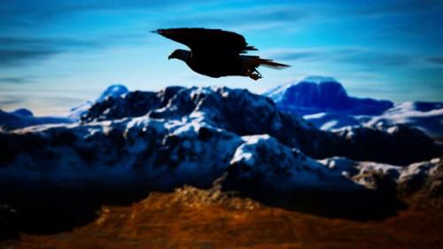 Videohive - Slow Motion American Bald Eagle in Flight Over Alaskan Mountains - 34136878 - 34136878