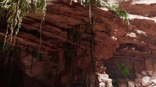 Videohive - Inside a Limestone Cave with Plants and Sun Shine - 34156278 - 34156278