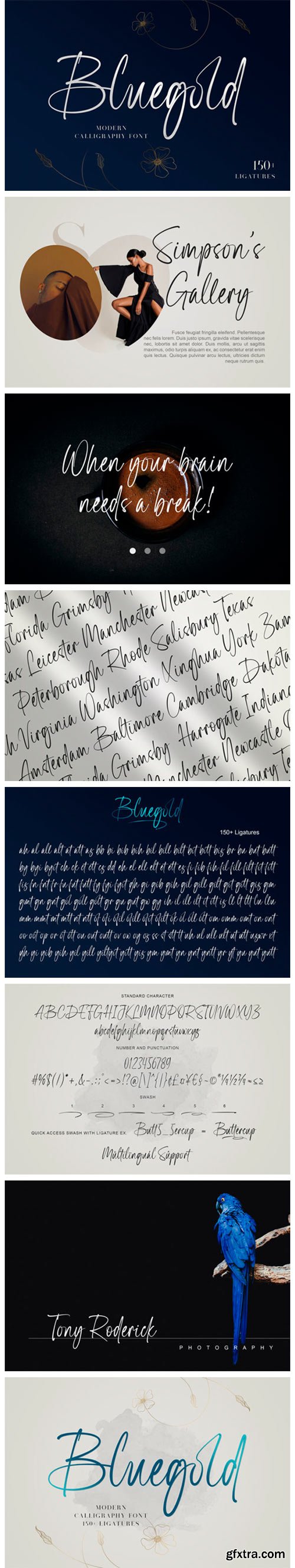 Bluegold Font