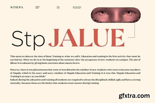 Stiepa Modern Serif & Bonus Sans