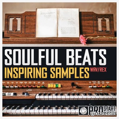 Pro Star Productions Soulful Beats Inspiring Samples WAV