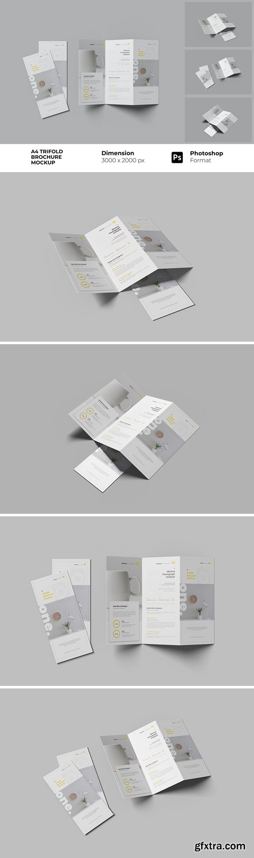 A4 Trifold Mockup