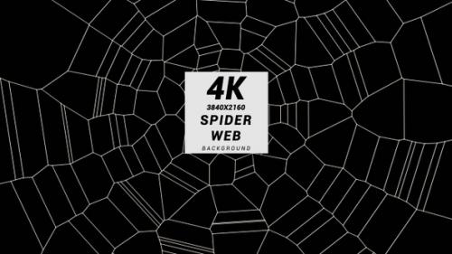 Videohive - Spider Web - 34167742 - 34167742