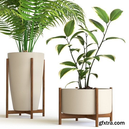 3D Plant Set