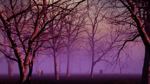 Videohive - Purple Fog Forest - 34236543 - 34236543