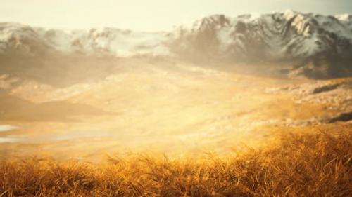 Videohive - Dry Grass and Snow Covered Mountains in Alaska - 34295372 - 34295372