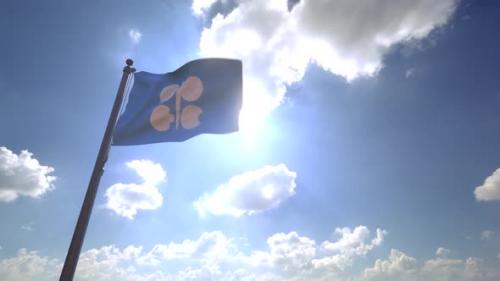 Videohive - OPEC Flag on a Flagpole V4 - 4K - 34248707 - 34248707