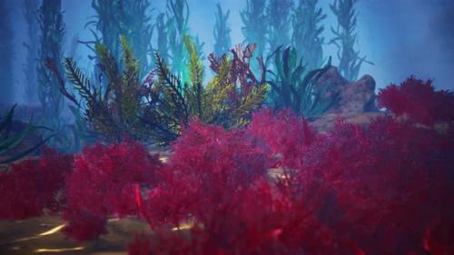 Videohive - Underwater Coral Reef with Sun Rays - 34249444 - 34249444