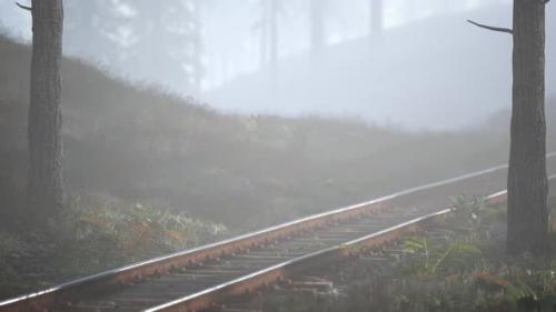 Videohive - Empty Railway Goes Through Foggy Forest in Morning - 34249577 - 34249577